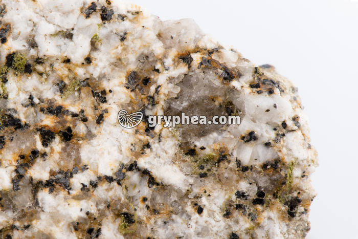 Granite altéré (détail x1,5) - gryphea.com